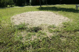 Zugewachsener Sandhaufen auf dem Spielplatz